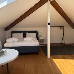 Mendrisio Deluxe Apartament