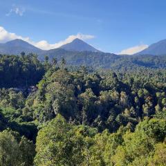 Munduk Twin Homestay