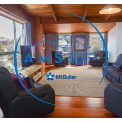 Moose 10 AMS Mt Buller