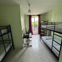 Hostel Wilson