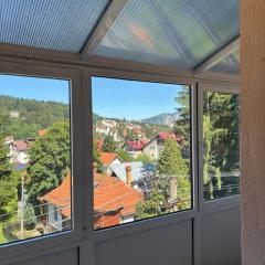 Panoramic Villa Predeal