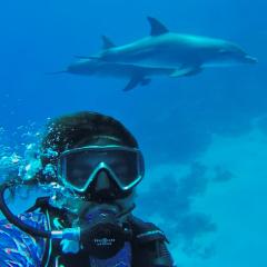 Private Diving in Hurghada