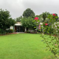 Green Serene Abode