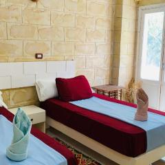 ABU Guest House