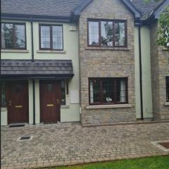 Lough Rinn - Mac Raghnaill Court