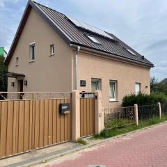 Rabbit House