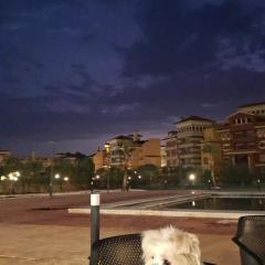 Porto sharm Vip