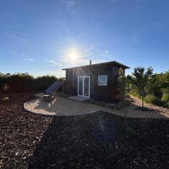 Cosy Tiny Container Cabin