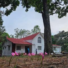 Ckcm Resort