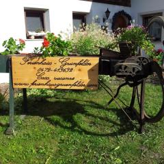 Ferienhaus-Grünfelder