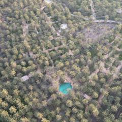 Coco Oasis Resort Camping Maison d hotes