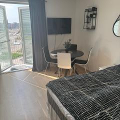 Modern 1-room apartment