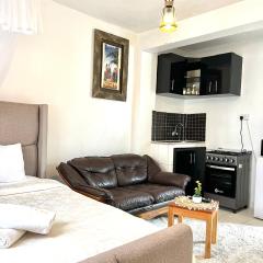 Spacious studio Apt Milimani