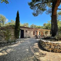 Maison paisible au coeur du Luberon