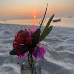 AfroWhaleSharkSafari & AfroBeachBungalows