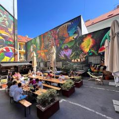 Drunken Monkey Hostel