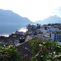 Wohnung Mit Herrlichem Blick Auf Den Pilatus