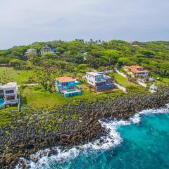 Oceanfront Coral View Home