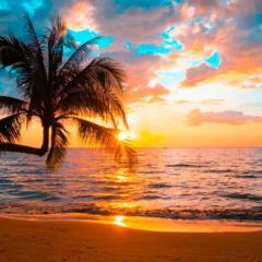 BeachFront Condo