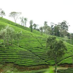 SHALOM HOME STAY valparai