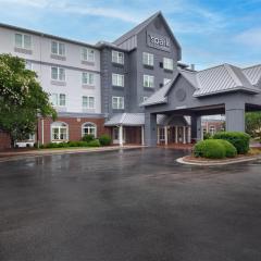 Spark by Hilton Summerville