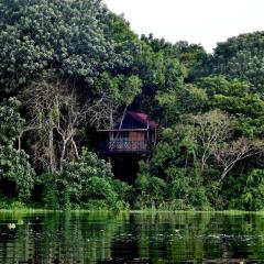 Eware Treehouse