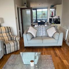 Stylish rooftop apartment River Liffey view