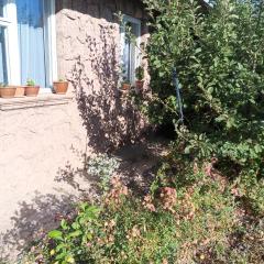 Lite house