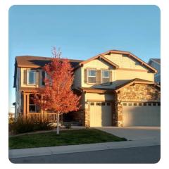 A new spacious walkout base in Castle Rock Colorado