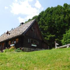 Almhütte Ödenhübl