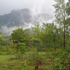 Sri Ambujam