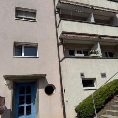 Modern Apartment Zurich - Near Lake & Opera House