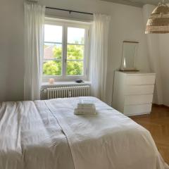 Fantastically beautiful old building apartment with lake view