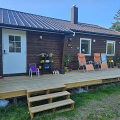 Perfect Holiday home Senja