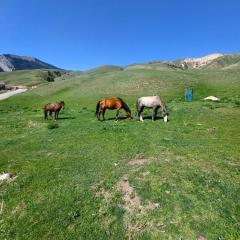 Kolsay