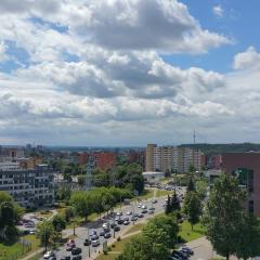 Sky Studio near the Vilnius Center