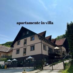 Silvan Villa - Apart