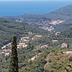 Vito's Parga View Apartments