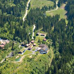 Kleivstua Hotel near Krokskogen