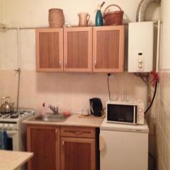 Apartment Downtown