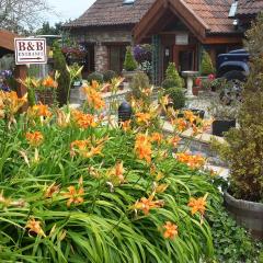 Bridge Farm Guesthouse rooms