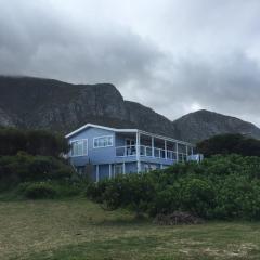 Rustic Beach House