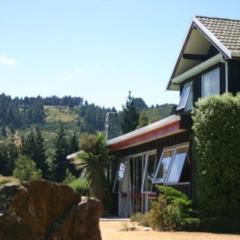 Mt Hutt Lodge