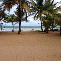 Beach Front Apartment Rio Mar Puerto Rico