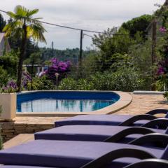 Apartments - Villa Ana