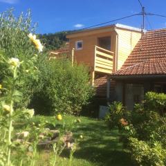 Gîte de montagne -Bellefosse Alsace