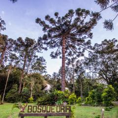 Bosque Oriri