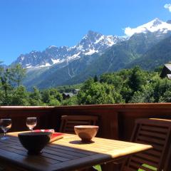 Facing the Chamonix Needles