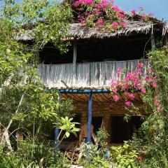 Blue Monkey Beach Cottages