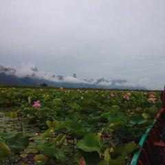 郎查民宿